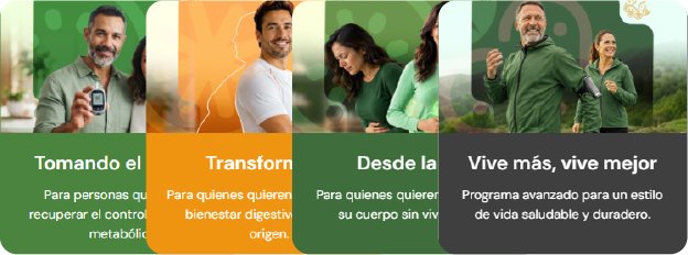 Planes ideales